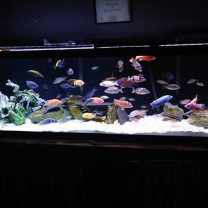 Meet your Posher, Todd